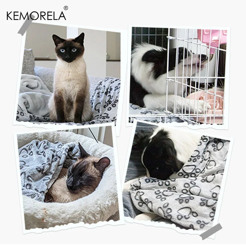 KEMORELA Soft Fluffy Pet Blanket for Cats & Dogs – Coral Fleece Pet Blanket Axl