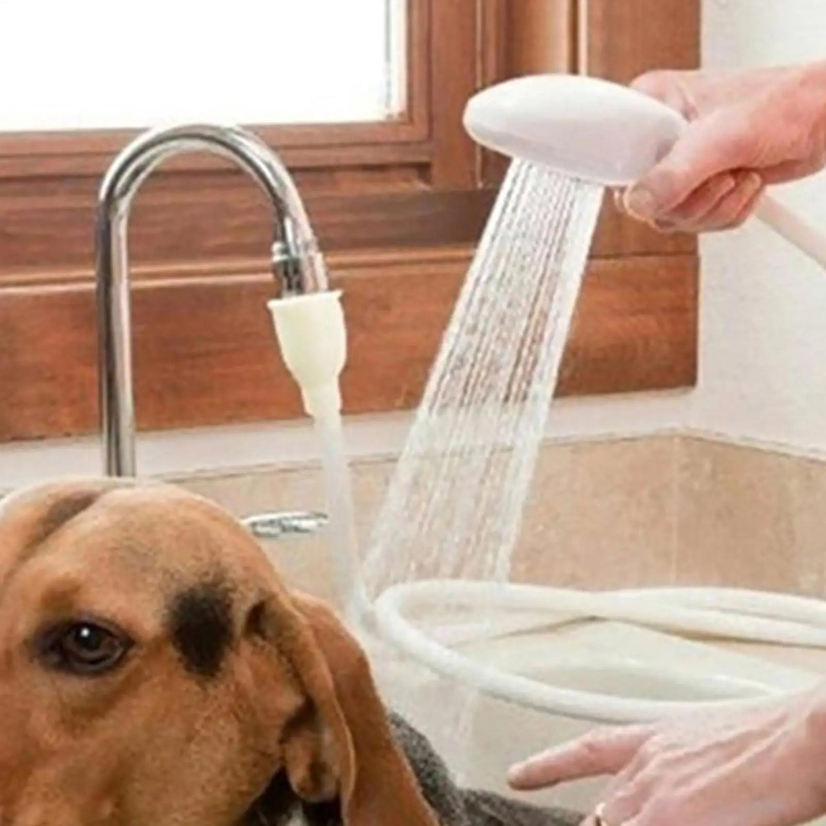 Pet Shower Sprayer – Faucet Hose Attachment for Dogs & Cats Pet Shower Sprayer Axl
