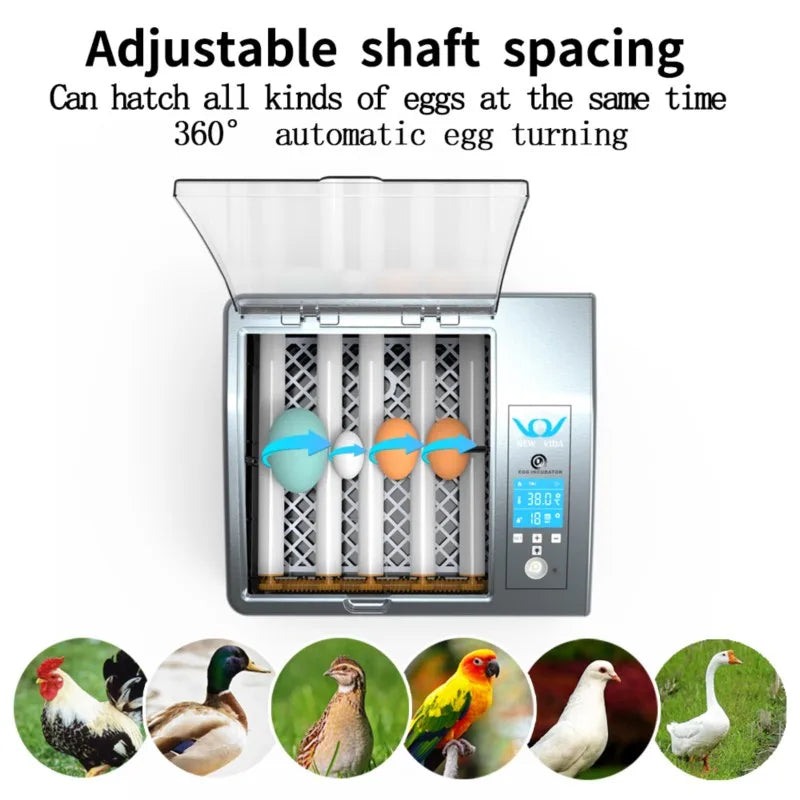 Automatic 16-Egg Incubator – Auto Turner & Poultry Hatcher Egg Incubator Axl