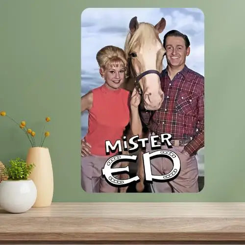 Ed Classic TV Show Metal Poster Sign – Retro Aluminum Wall Art Metal Wall Sign Axl aluminum sign aluminum 20x30cm