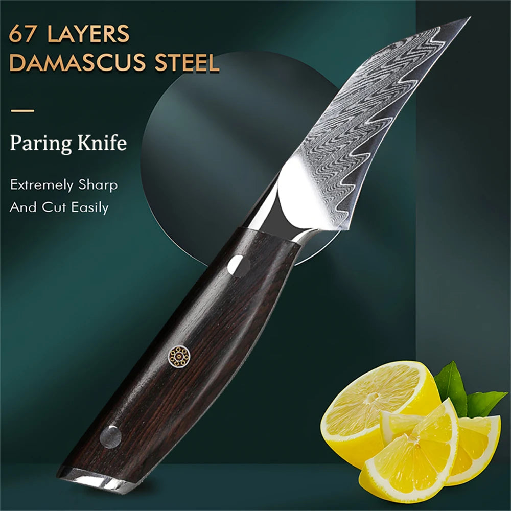 67-Layer Damascus Steel Paring Knife – Fruit Peeling Knife Damascus Paring Knife Axl