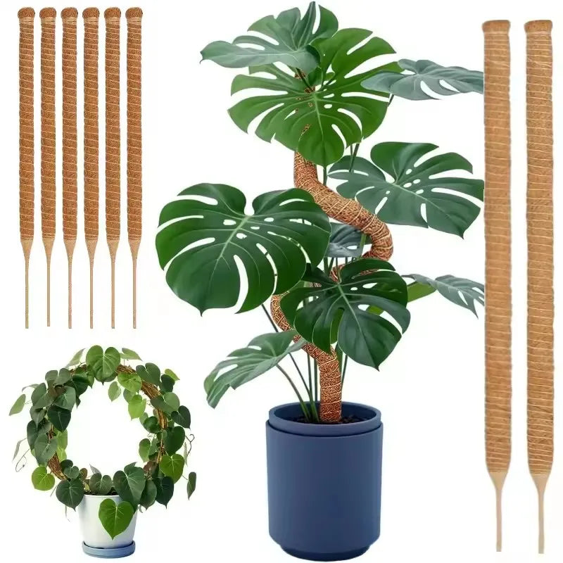 Bendable Moss Coir Pole – Coconut Fiber Climbing Plant Support Plant Climbing Support Axl