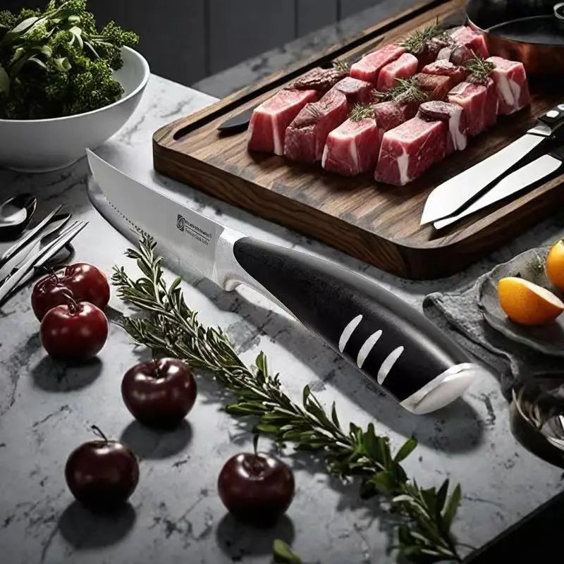 6-Piece Stainless Steel Kitchen Knife Set with Holder Kitchen Knife Set Axl