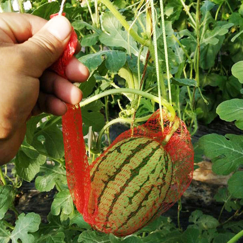 100 Pcs Hanging Garden Mesh Net Bags – Melon & Vegetable Support Garden Mesh Net Bags Axl