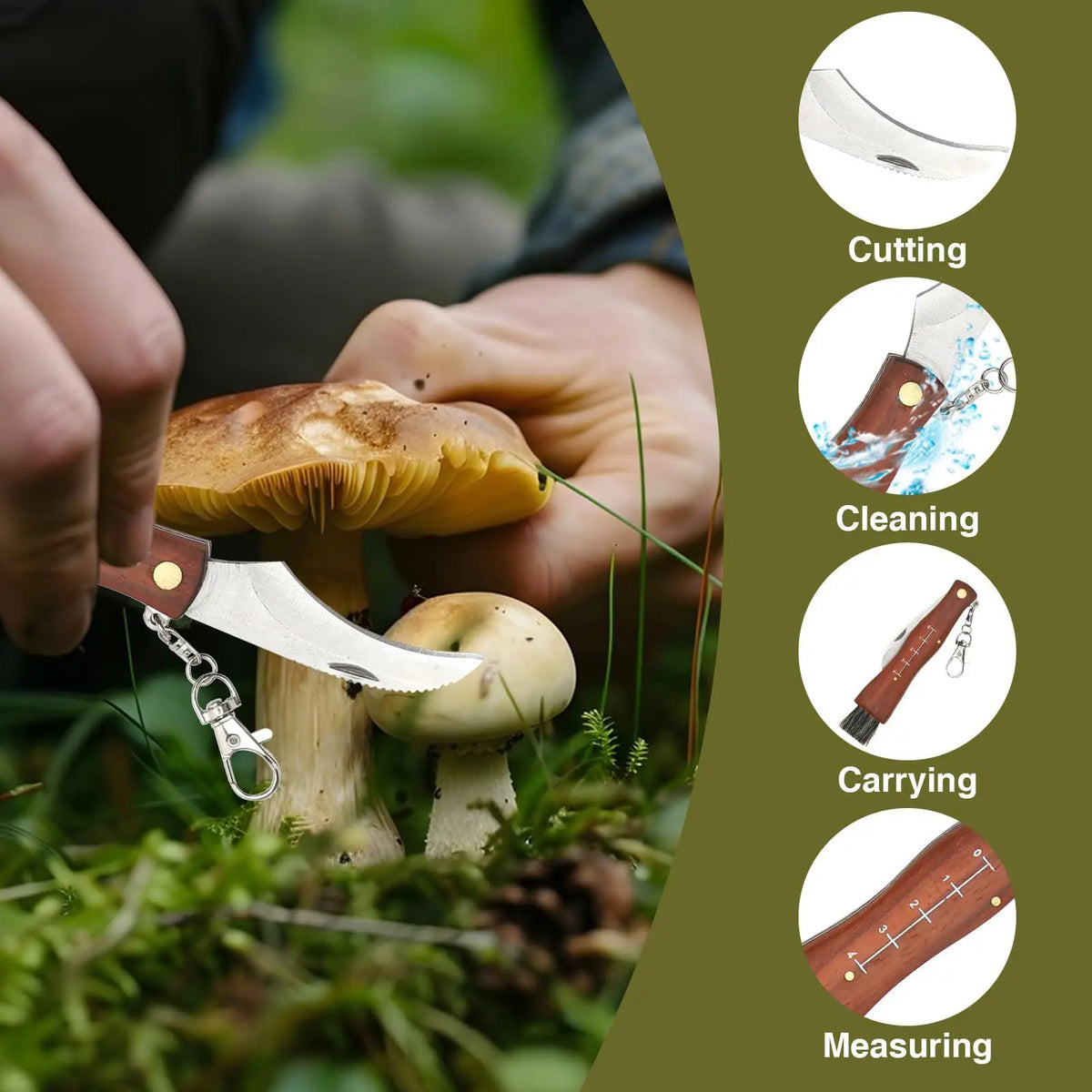 Mini Mushroom Foraging Knife – Rosewood Handle & Brush Folding Foraging Knife Axl