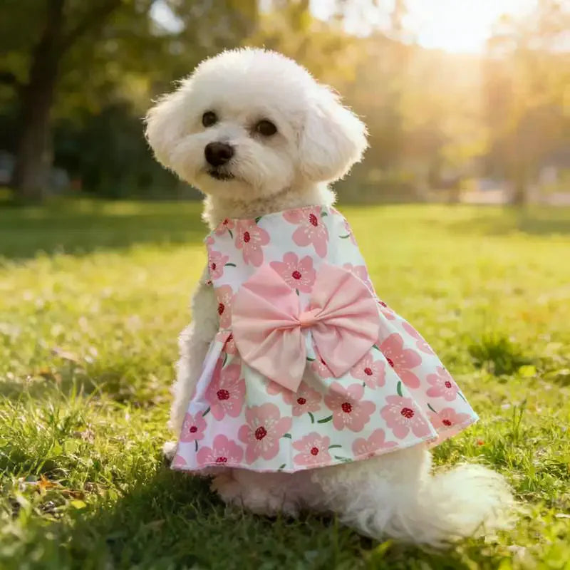 Floral Pet Princess Dress – Soft Breathable Dog & Cat Skirt Pet Costume Dress Axl