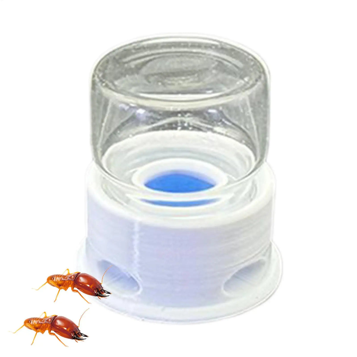 12ml Transparent Ant Water Feeder – Anti-Drowning Step Design Insect Water Feeder Axl