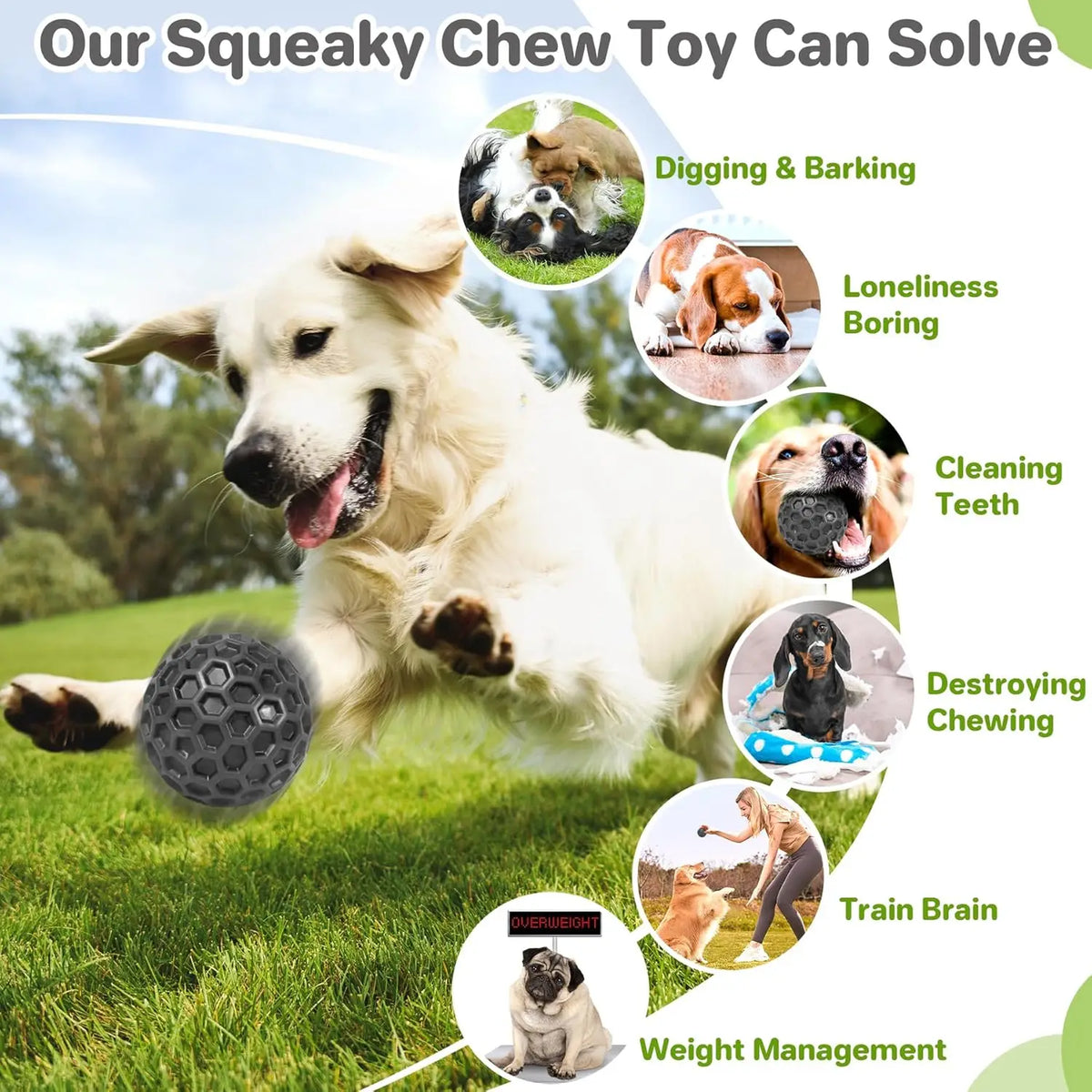 Interactive Squeaky Rubber Dog Ball Toy – Chew & Fetch Dog Chew Toy Axl