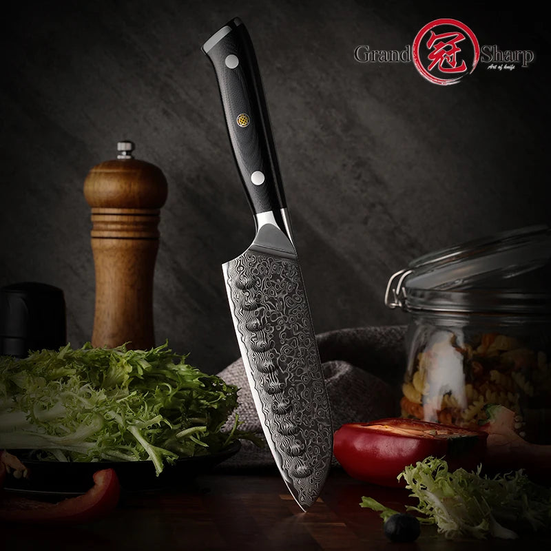 5-Inch Santoku Knife – 67-Layer AUS-10 Damascus Steel Chef Knife Santoku Kitchen Knife Axl