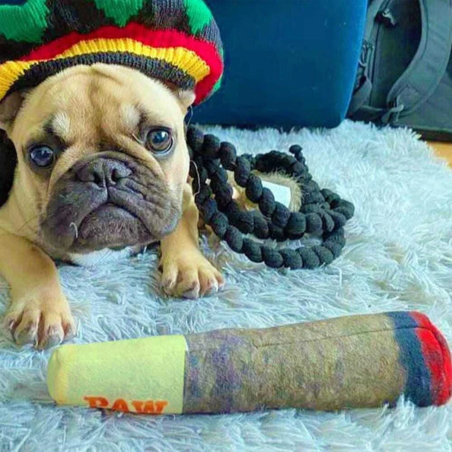 Cigar Shaped Squeaky Dog Plush Toy | Interactive Chew Toy Plush Dog Toy Axl