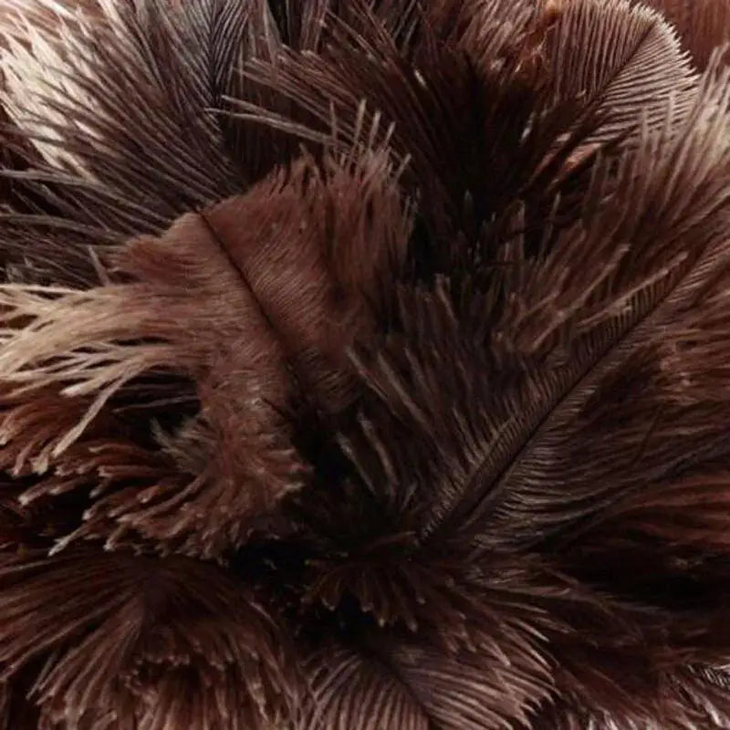 Anti-Static Ostrich Feather Duster with Wooden Handle Feather Duster Axl