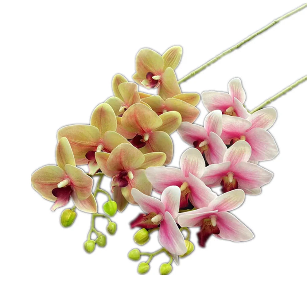 Artificial Phalaenopsis Orchid Branch – 7 Heads, Real Touch 69cm Artificial Flower Stem Axl