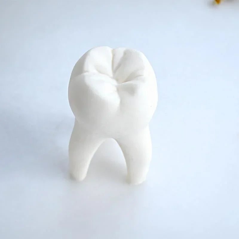 Large Tooth Silicone Candle Mold – DIY Gypsum & Resin Mould Silicone Craft Mold Axl