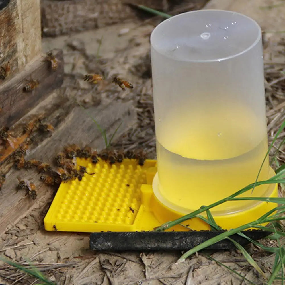 Bee Water Feeder – Safe Honeybee Drinking Station & Tray Bee Feeder Axl