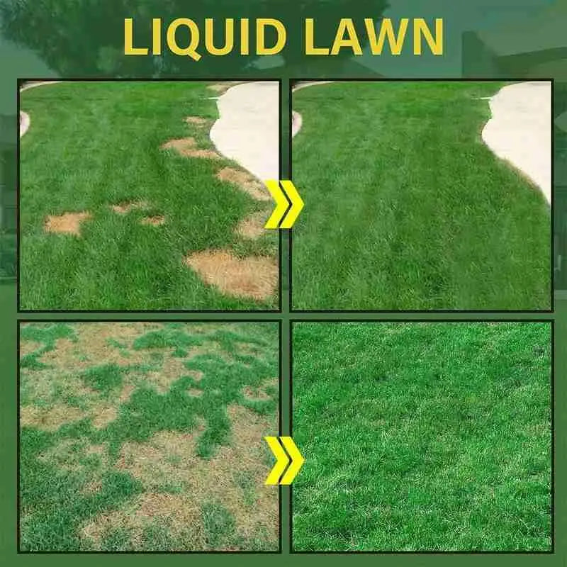 Hydro Mousse Liquid Lawn Seed Spray – Turf Growth Booster 59ml Liquid Lawn Spray Axl