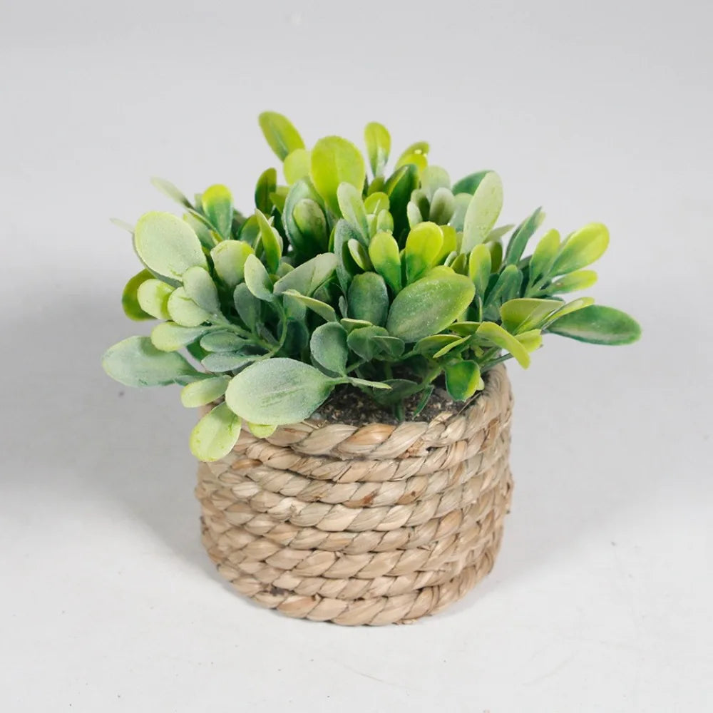 11cm Artificial Eucalyptus Potted Plant – Faux Green Decor Artificial Potted Plant Axl