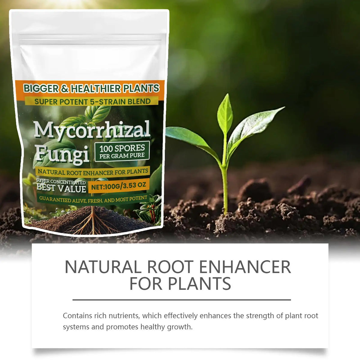 100g Plant Growth Enhancer Powder – Hydroponics & Soil Plant Fertilizer Powder Axl
