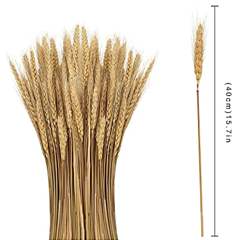 Dried Wheat Spikes Bouquet – Boho Home & Wedding Decor Dried Flower Bouquet Axl