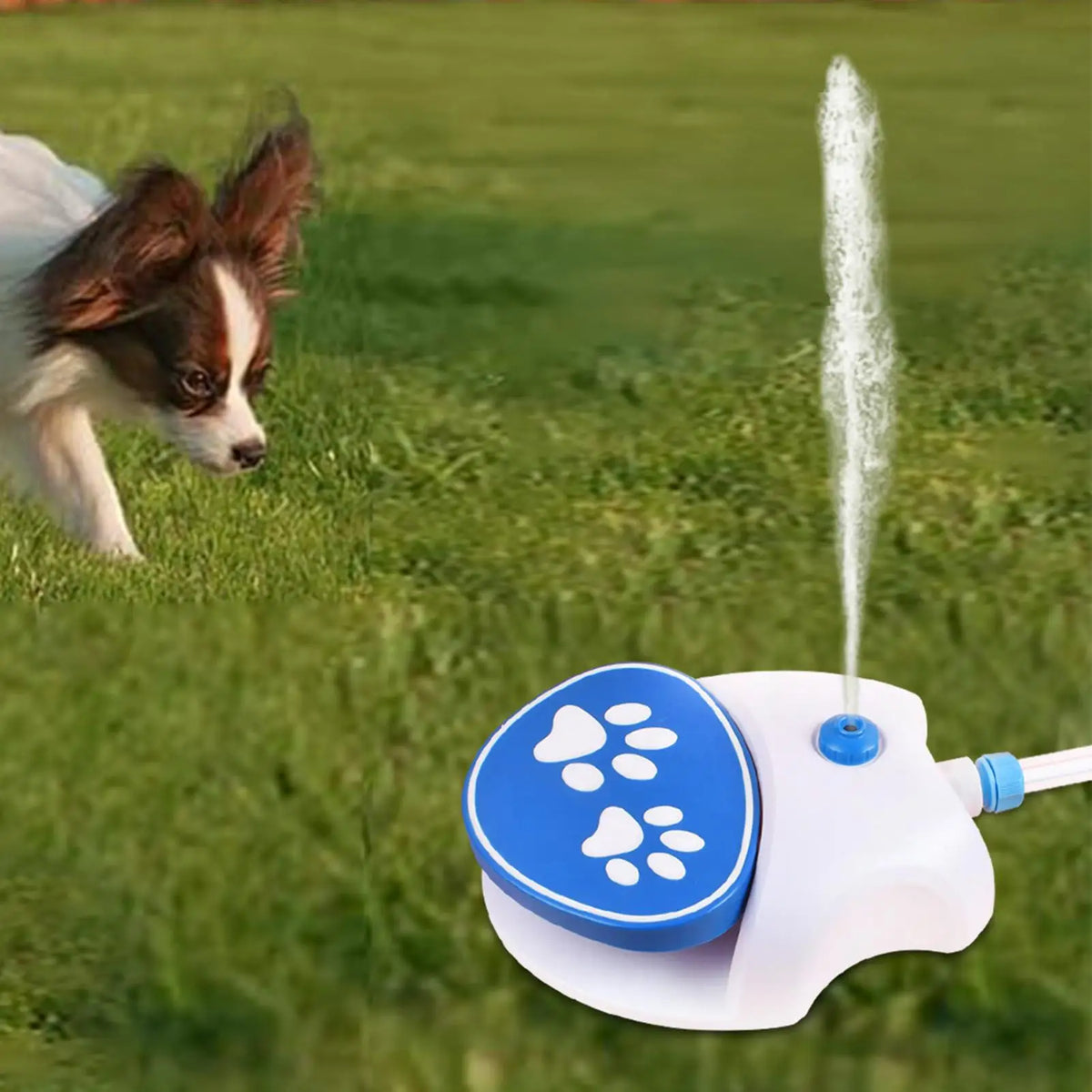 Paw-Activated Outdoor Dog Water Fountain with Hose Dog Water Fountain Axl