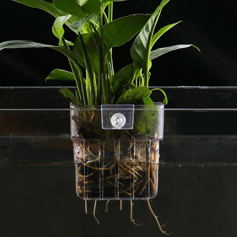 Wall-Mounted Aquarium Planter Cup – Fish Tank Plant Holder Aquarium Plant Holder Axl