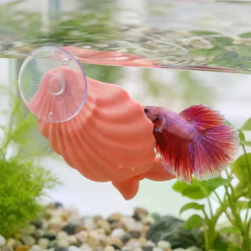 Shell-Shaped Betta Feeding Dish with Suction Cup | Fish Tank Aquarium Feeding Dish Axl