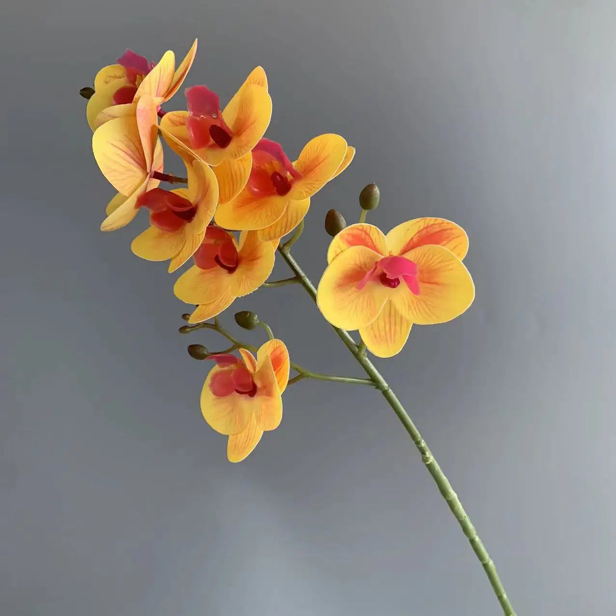 10-Pack Artificial Mini Orchid Stems – 8-Head Latex Phalaenopsis Artificial Flower Stems Axl orange