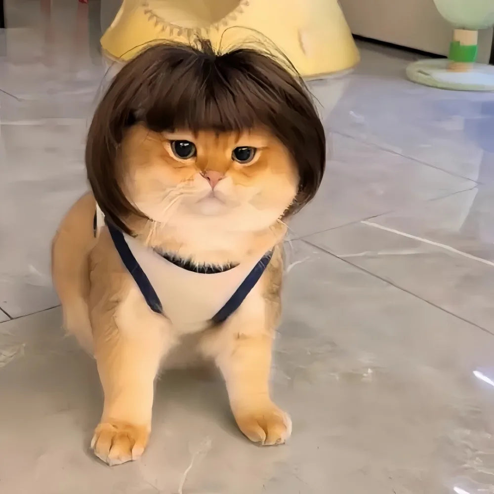 Funny Pet Bob Wig for Cats & Dogs – Halloween Cosplay Pet Costume Wig Axl