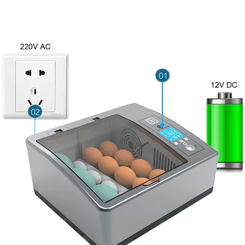 Automatic 16-Egg Incubator – Auto Turner & Poultry Hatcher Egg Incubator Axl