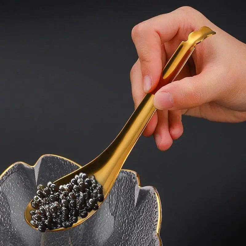 Stainless Steel Slotted Spoon – Caviar, Sauce & Filter Spoon Slotted Filter Spoon Axl