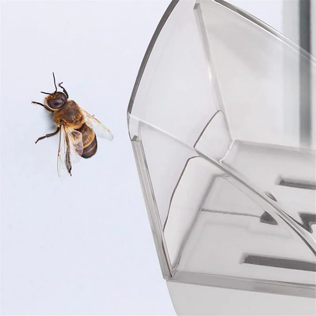 Handheld Insect & Spider Catcher – Eco-Friendly Bug Catch Tool Insect Catcher Tool Axl