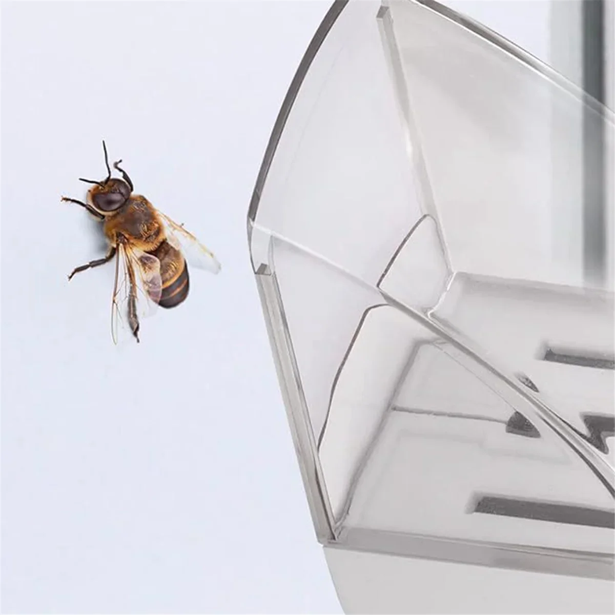 Handheld Insect & Spider Catcher – Eco-Friendly Bug Catch Tool Insect Catcher Tool Axl