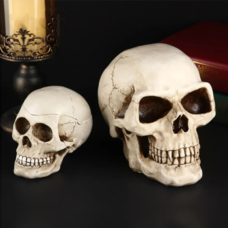 Skull Piggy Bank for Adults – Large Resin Coin & Cash Box Gift Decorative Piggy Bank Axl