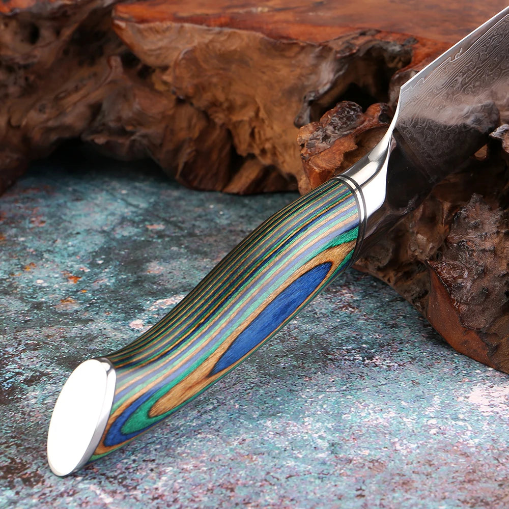 Damascus Steel Knife Set | VG-10 Japanese Chef Knives Damascus Knife Set Axl