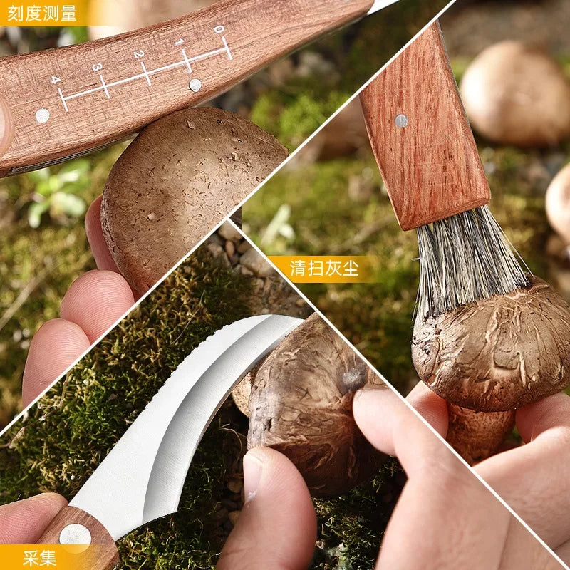 EDC Folding Pocket Knife – Wood Handle & Stainless Steel Folding Pocket Knife Axl