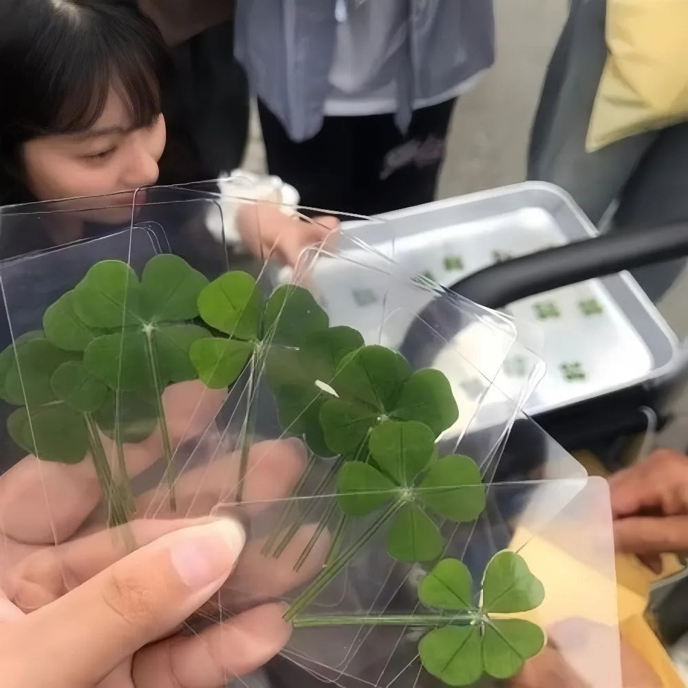 5-Pack Four-Leaf Clover Bookmarks – Waterproof Leaf Vein Decorative Bookmark Axl