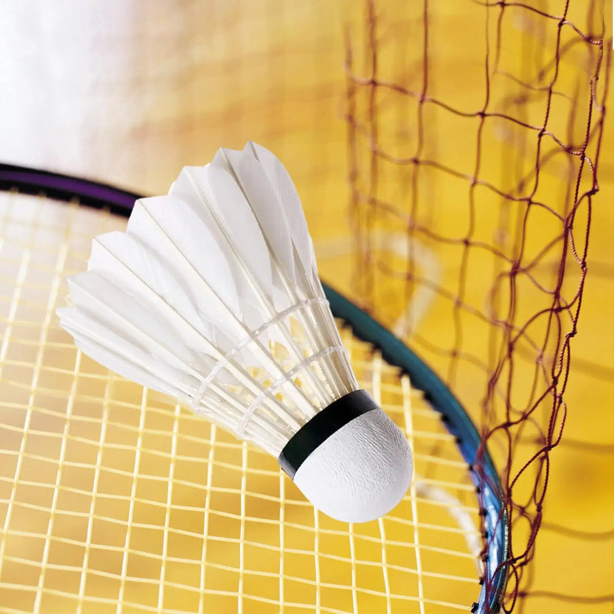 3-Pack Duck Feather Badminton Shuttlecocks – Training Birdies Badminton Shuttlecock Axl
