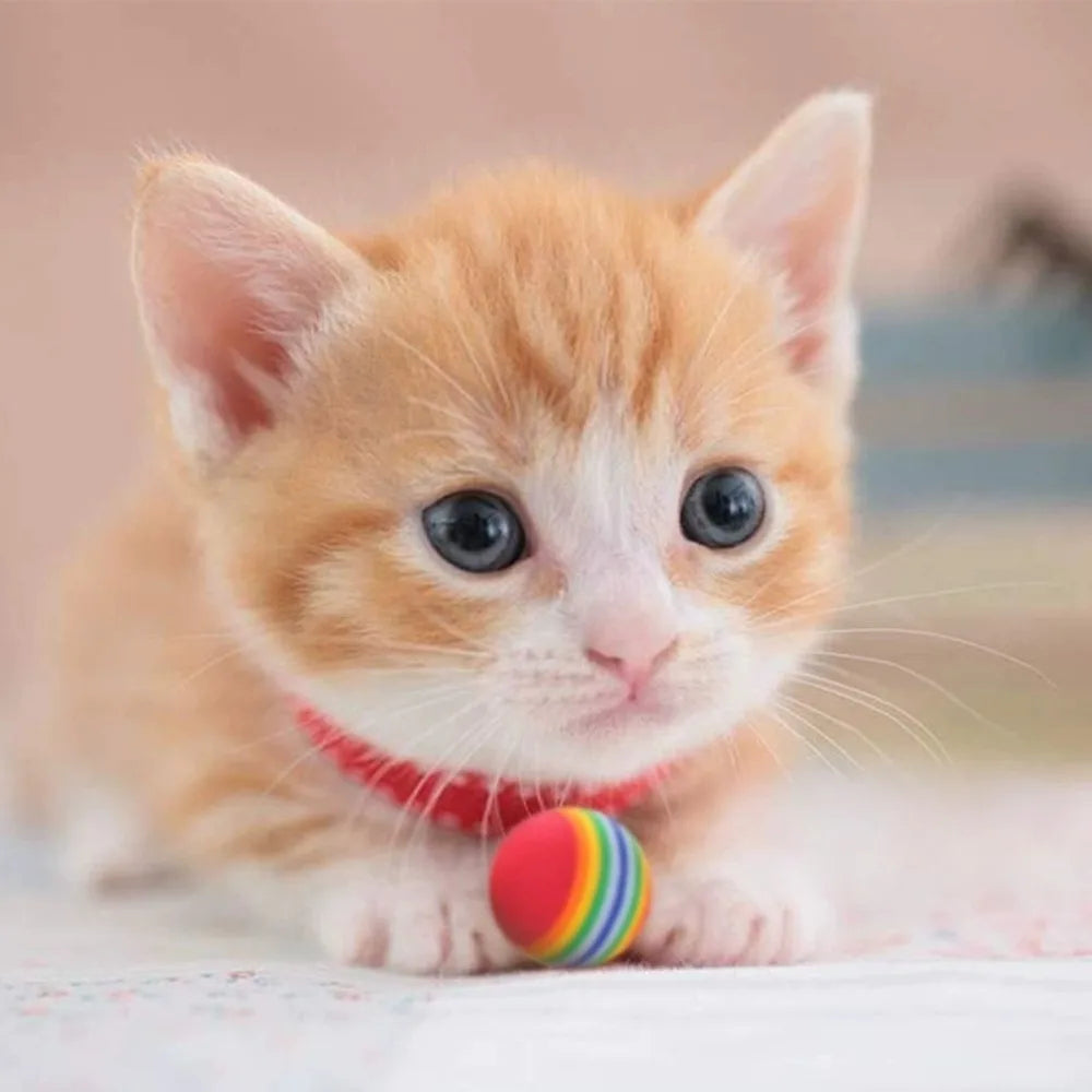 Rainbow EVA Cat Toy Balls 5-Pack – Interactive Pet Play Cat Toy Balls Axl