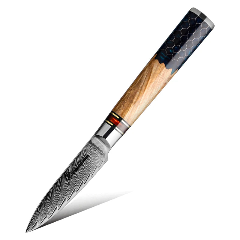 Damascus Knife Set AUS10 Japanese Steel – Honeycomb Handle Kitchen Knife Set Axl paring knife