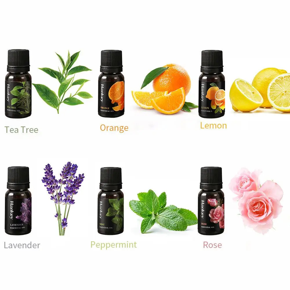 10ml Plant Fragrance Oil for Diffuser, DIY Candle & Soap Fragrance Essential Oil Axl