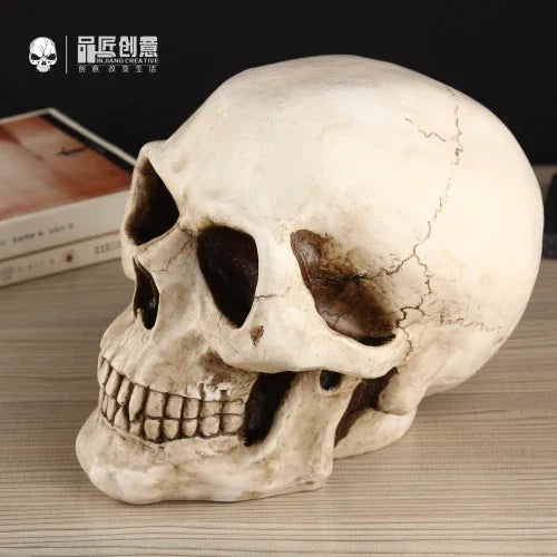Skull Piggy Bank for Adults – Large Resin Coin & Cash Box Gift Decorative Piggy Bank Axl 21X18X15CM