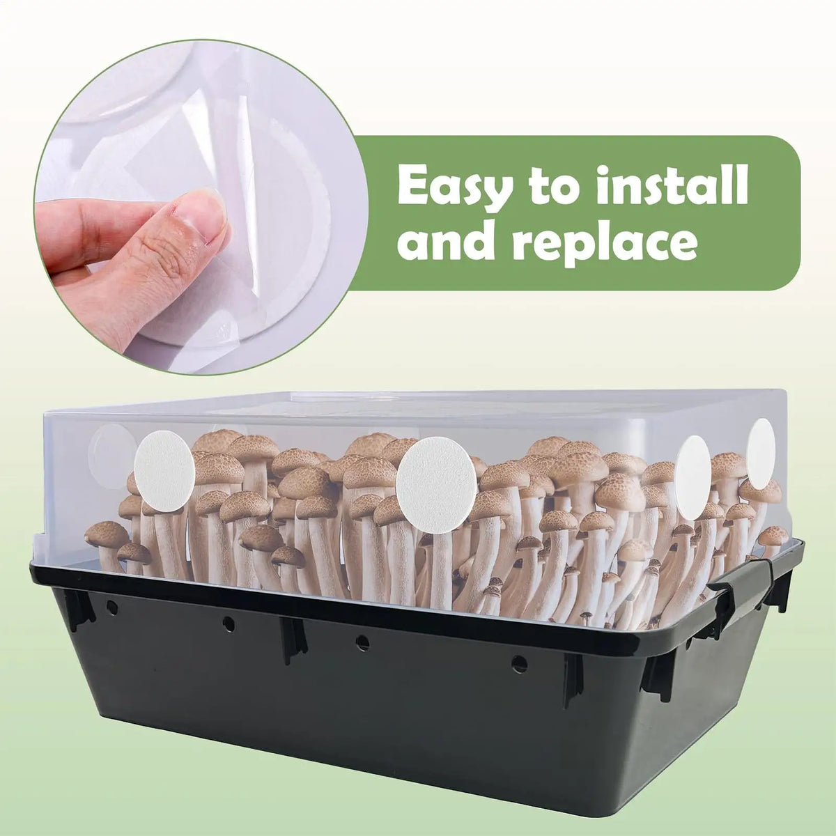 Mushroom Filter Discs 24-Pack – Moisture Preservation Pads Mushroom Filter Pads Axl Default Title