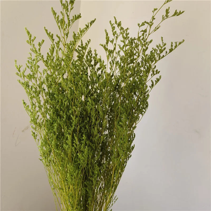 70g Dried Limonium Bouquet – Rustic Wedding & Home Décor Gift Dried Flower Bouquet Axl Green 70g