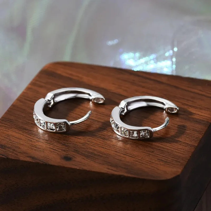 925 Sterling Silver Zircon Circle Stud Earrings | Women's Gift Stud Earrings Axl