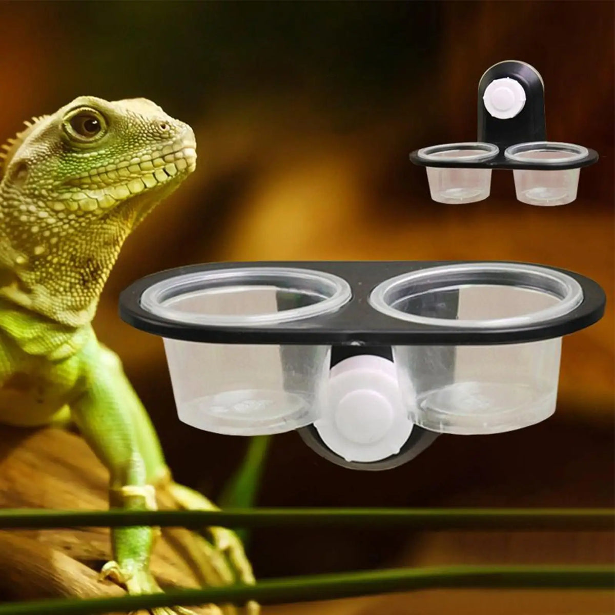 Reptile Food & Water Dish – 4-Cup Ledge Feeder Tray Reptile Feeder Dish Axl