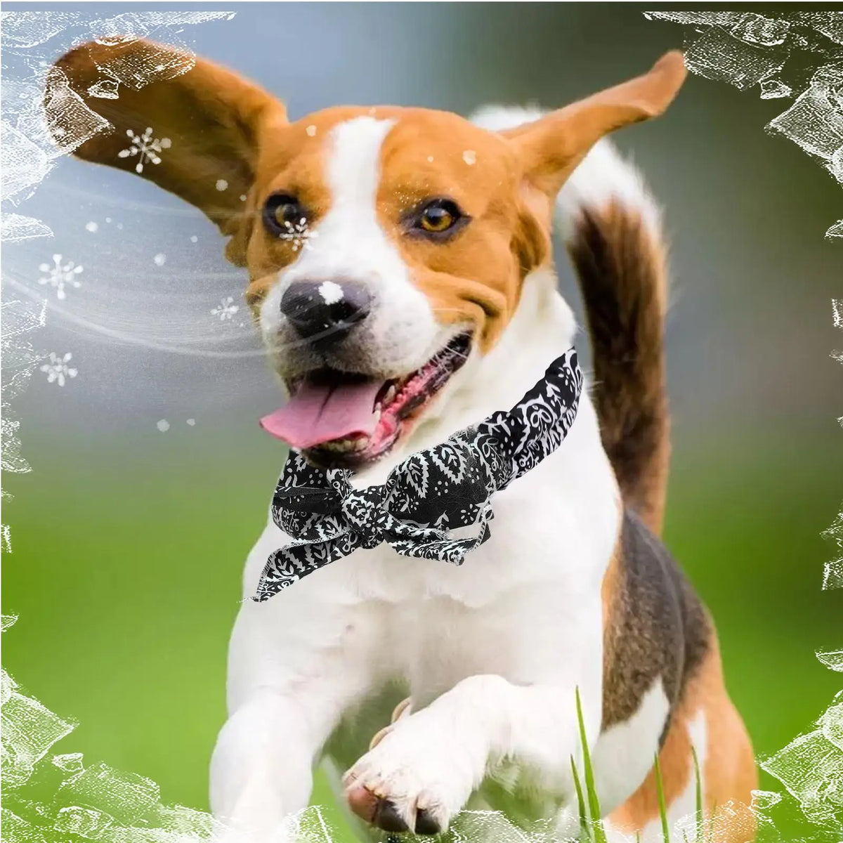 Pet Cooling Bandana Scarf – Ice Collar for Dogs & Cats Pet Cooling Bandana Axl