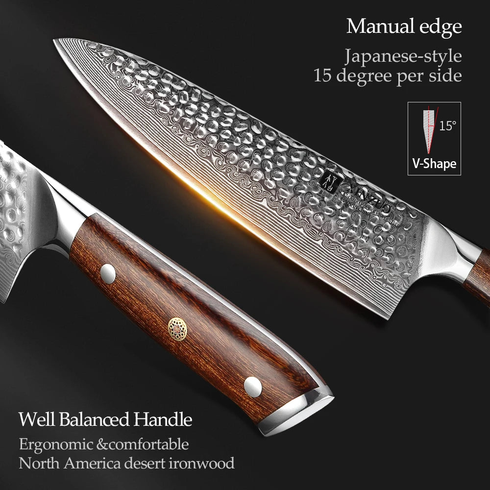 XINZUO 8.2" VG10 Damascus Steel Chef Knife – Gyuto, 67 Layers Damascus Chef Knife Axl