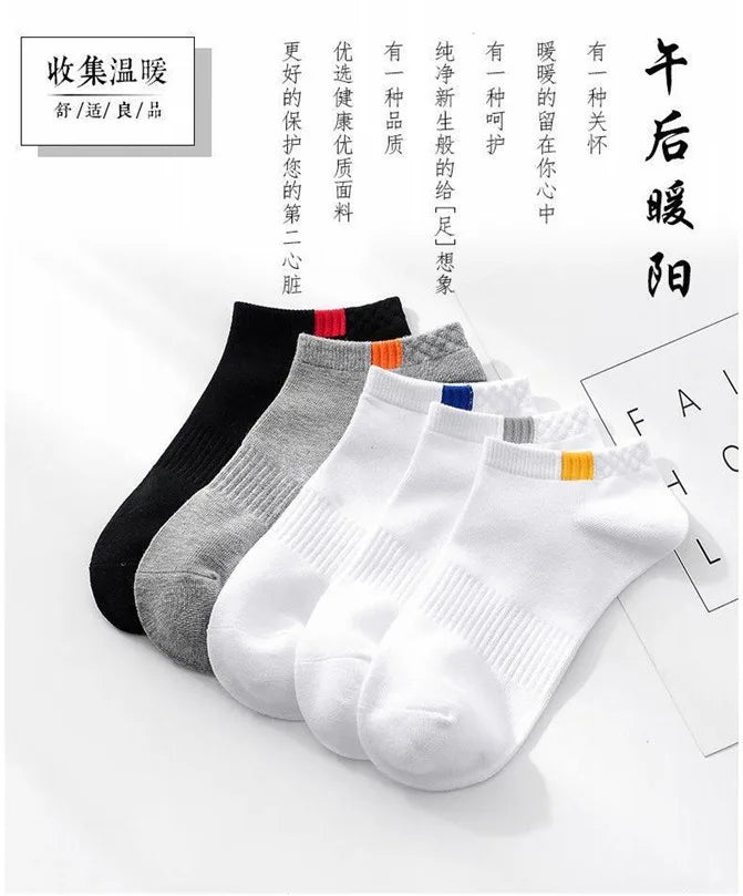 Men's Low Cut Sport Socks – 5 Pairs Breathable Cotton Set Men's Sport Socks Axl
