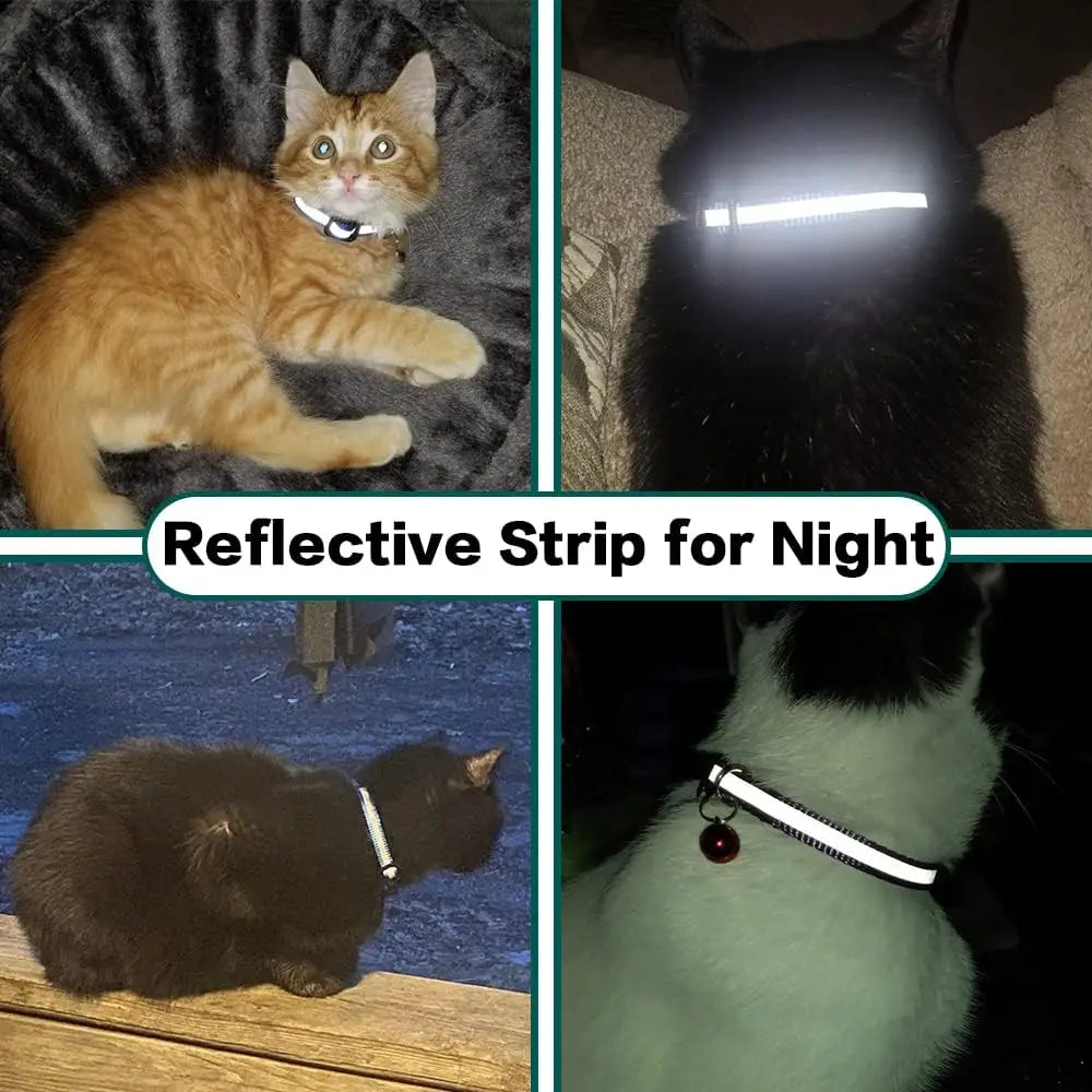 Breakaway Cat Collar with AirTag Holder, Bell & Reflective Strip Cat Collar Axl