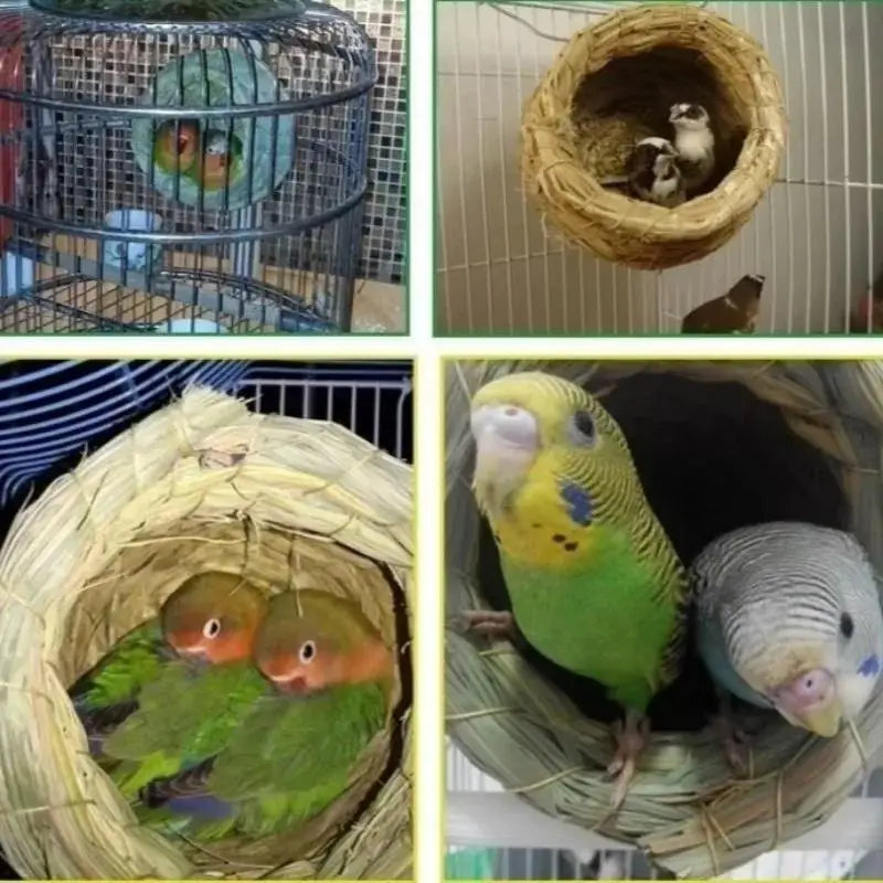 Handmade Grass Woven Bird Nest – Hanging Parrot & Hummingbird Hut Bird Nest Hut Axl