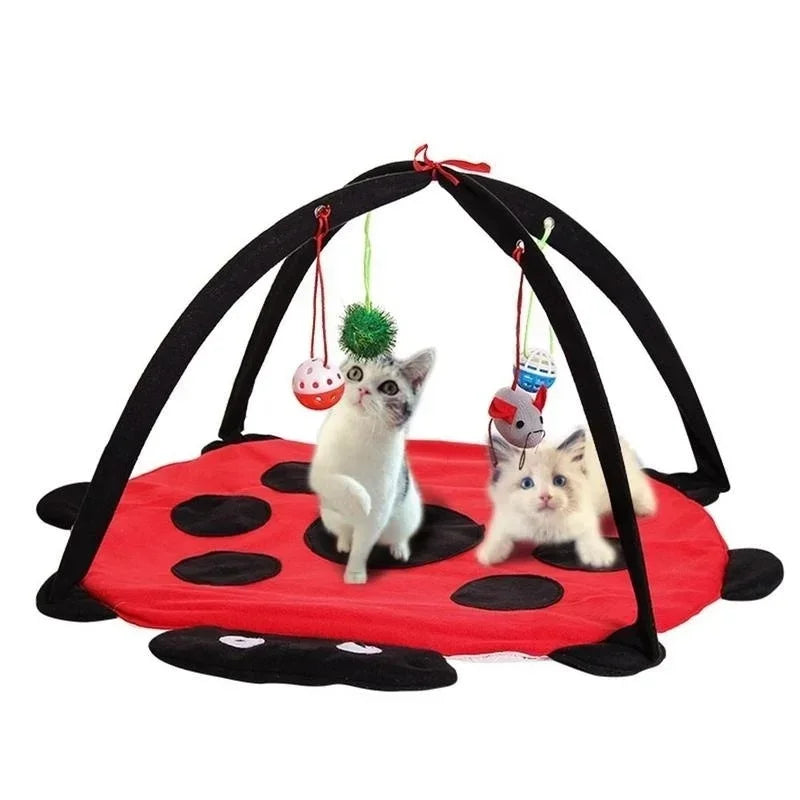 Cat Play Tent Bed with 4 Hanging Toys – Indoor Kitten Rest House Cat Tent Play Bed Axl